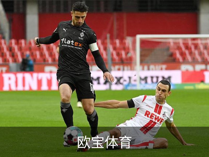 欧宝体育介绍